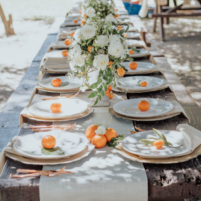White Coupe Dinnerware